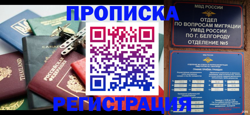 временная регистрация недорого в Мончегорске